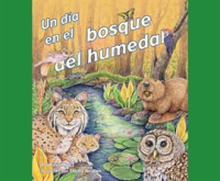 Un_D__a_en_el_Bosque_del_Humedal__A_Day_in_a_Forested_Wetland_